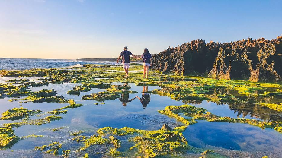 Khám phá 03 điểm san hô cổ nổi tiếng tại Ninh Thuận