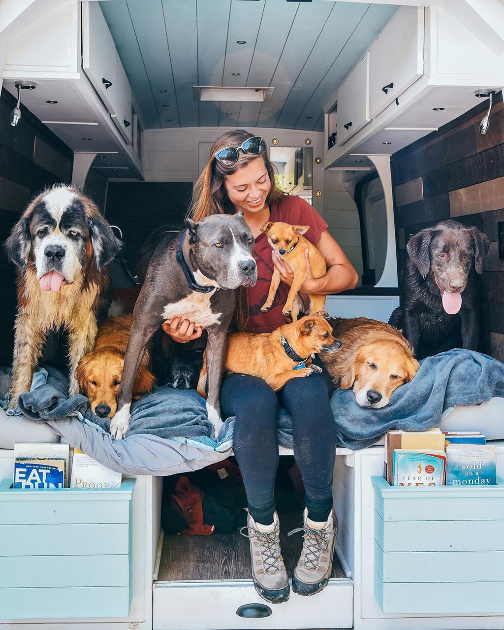 9X chia tay bạn trai, bỏ việc đi khắp nước Mỹ cùng chó cưng