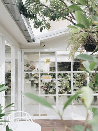 Đầu năm muốn làm một chuyến “du hí” nước ngoài thì nên đi đâu?