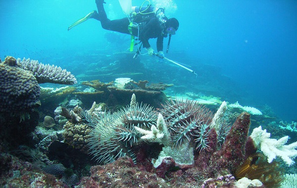 Đi du lịch nhớ gìn giữ môi trường biển