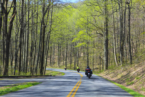 Hành trình thú vị với trải nghiệm lái xe châu Âu và châu Á