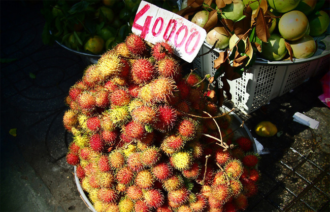 Những lời khuyên để ăn uống an toàn khi đi du lịch
