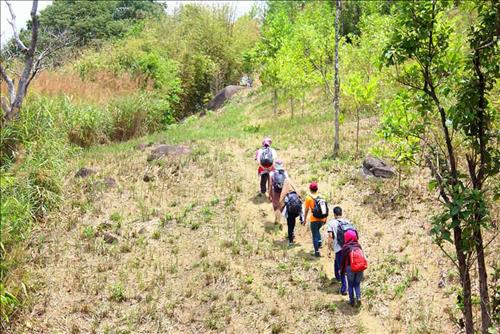 Mơ thấy núi - Giấc mơ đại cát đại lợi