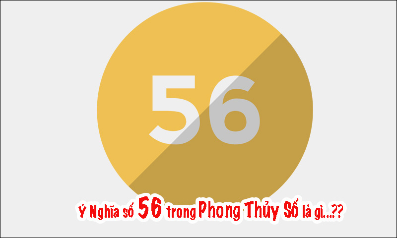 Đầu số 0356 là mạng gì? Ý nghĩa của đầu số 0356? Có phải đầu số đẹp?
