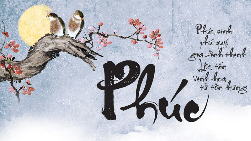 Đầu số 05 là mạng gì? Ý nghĩa của đầu số 05? Có phải đầu số đẹp?