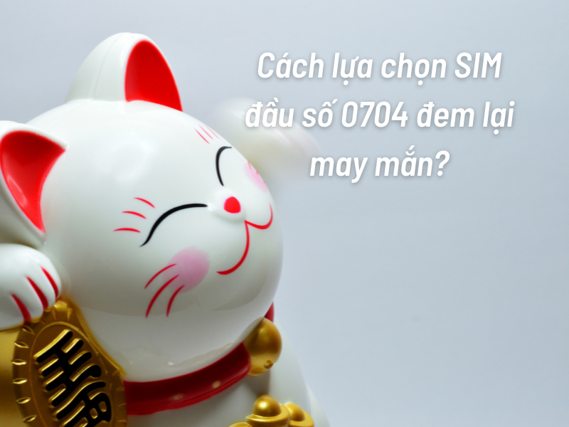 Đầu số 0704 là mạng gì? Ý nghĩa của đầu số 0704? Có phải đầu số đẹp?