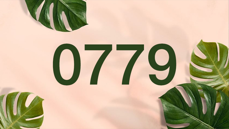 Đầu số 0779 là mạng gì và cách lựa chọn sim 0779 hợp mệnh?