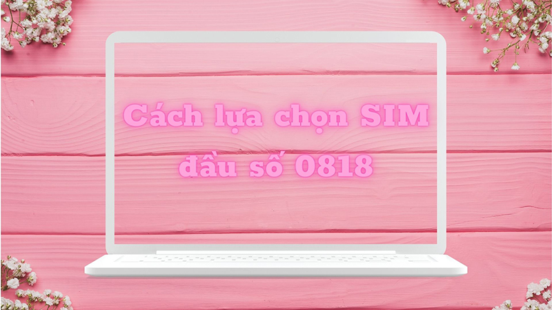 Đầu số 0818 là mạng gì? Ý nghĩa của đầu số 0818? Có phải đầu số đẹp?