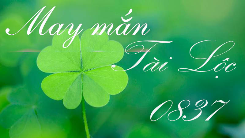 0837 là mạng gì và ý nghĩa phong thủy của đầu số 0837?