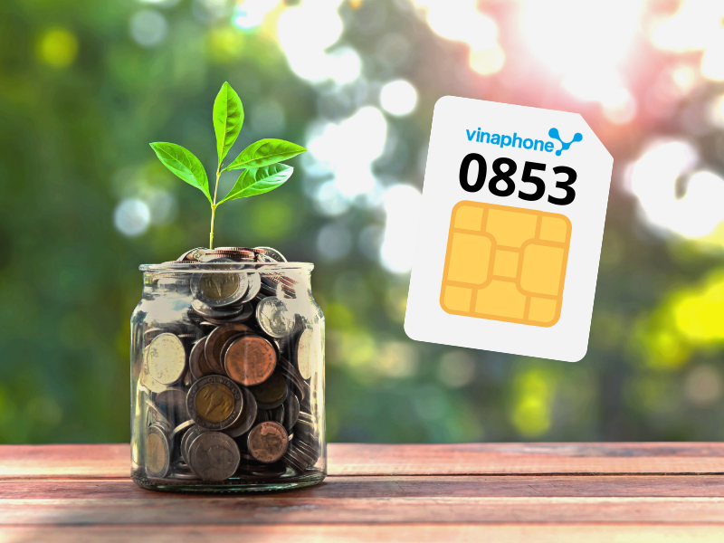 Đầu số 0853 là mạng gì và đầu số 0853 có phải số phát tài?