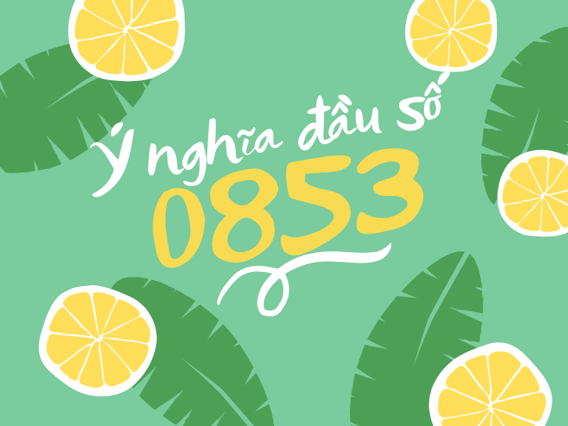 Đầu số 0853 là mạng gì và đầu số 0853 có phải số phát tài?