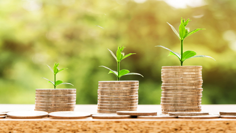 Đầu số 0862 là mạng gì và ý nghĩa đầu số 0862 có phát lộc?