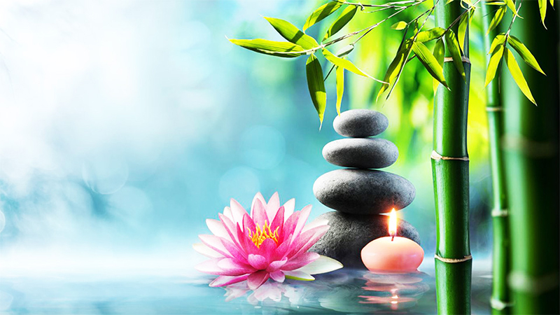 Đầu số 0871 là mạng gì và đầu số 0871 phù hợp với những ai?