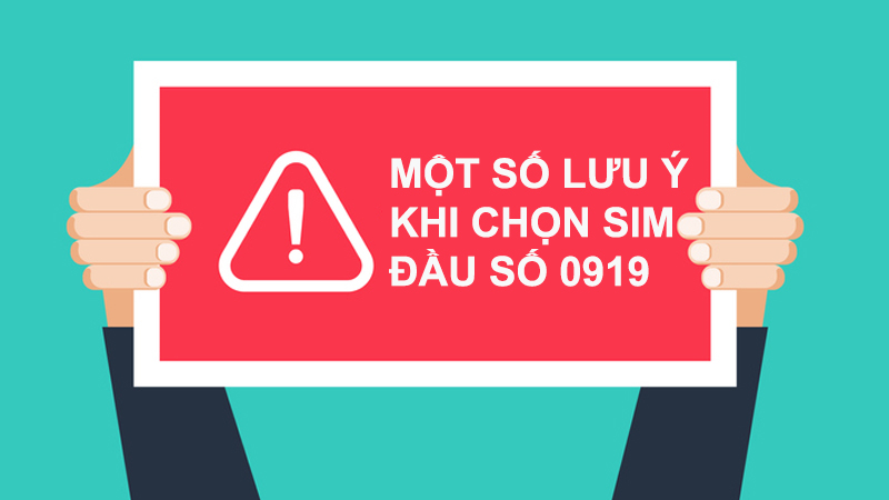 Đầu số 0919 là mạng gì và đầu số 0919 có phải số phát lộc?