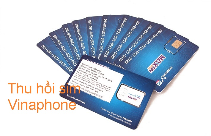 Làm thế nào để lấy được sim vina bị thu hồi?