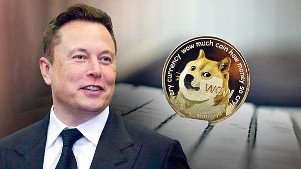 Giá 1 Dogecoin bằng bao nhiêu USD, VND hôm nay?