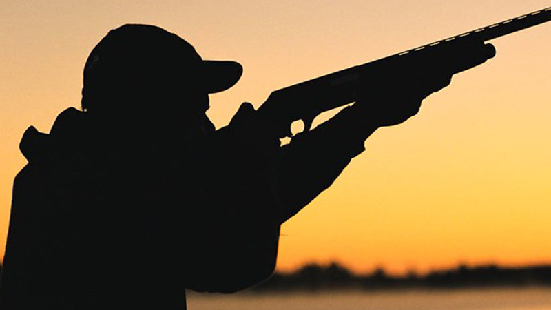 1/8 là ngày gì? Thuộc cung gì? Có sự kiện gì đặc biệt vào ngày này?