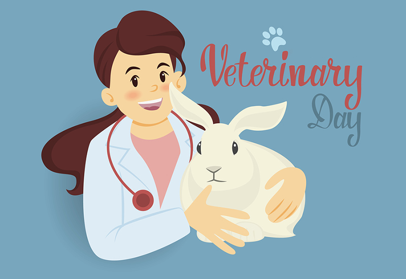 11/7 là ngày gì và nguồn gốc ý nghĩa sự kiện vào ngày 11/7?