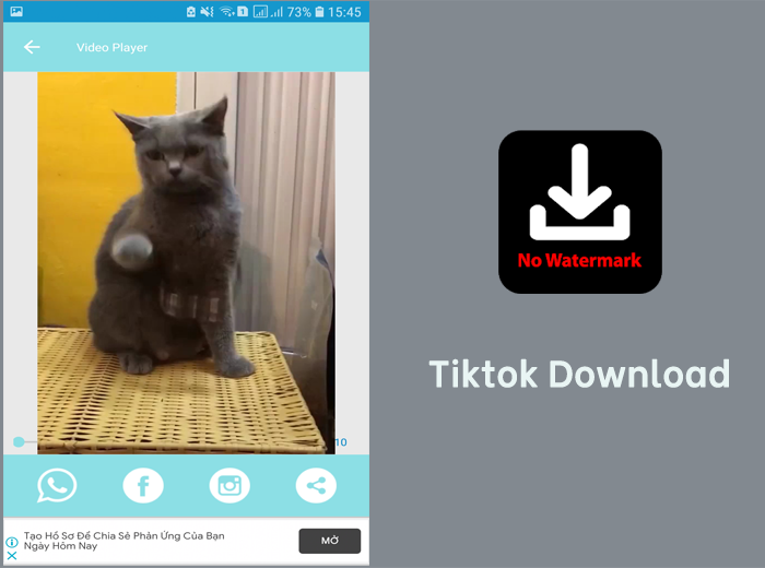 Tiktok Download: Ứng dụng tải video Tiktok không dính logo
