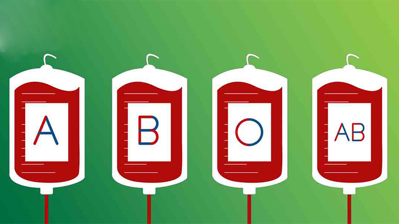 14/6 là ngày gì? Ý nghĩa và một số sự kiện lịch sử trong ngày 14/6