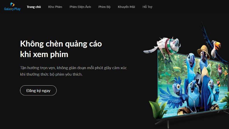 Các website xem phim bản quyền tại Việt Nam thay thế khi phimmoi.net bị chặn