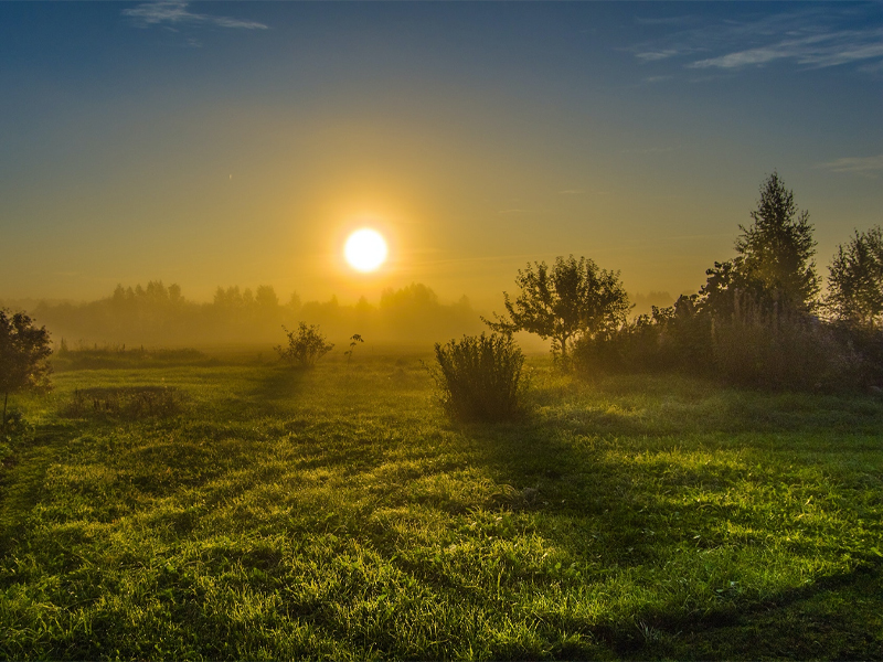 15/7 là ngày gì? Có sự kiện gì nổi bật? Sinh ngày 15/7 mệnh, cung gì?
