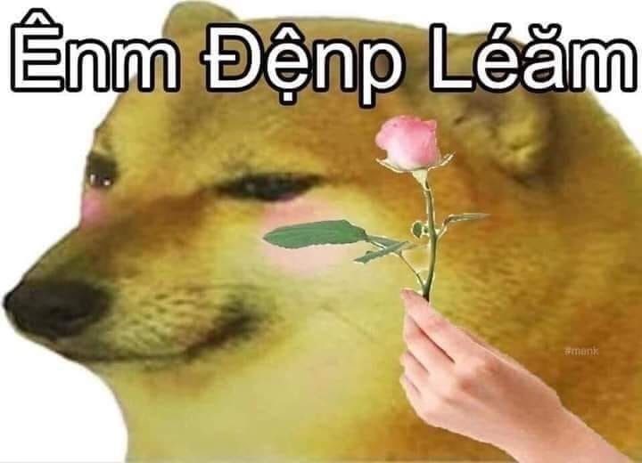 Meme Cheems là gì và nguồn gốc, ý nghĩa, các meme hài hước?