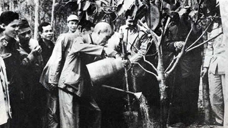 28/11 là ngày gì? Thuộc cung gì? Có sự kiện gì đặc biệt vào ngày này?