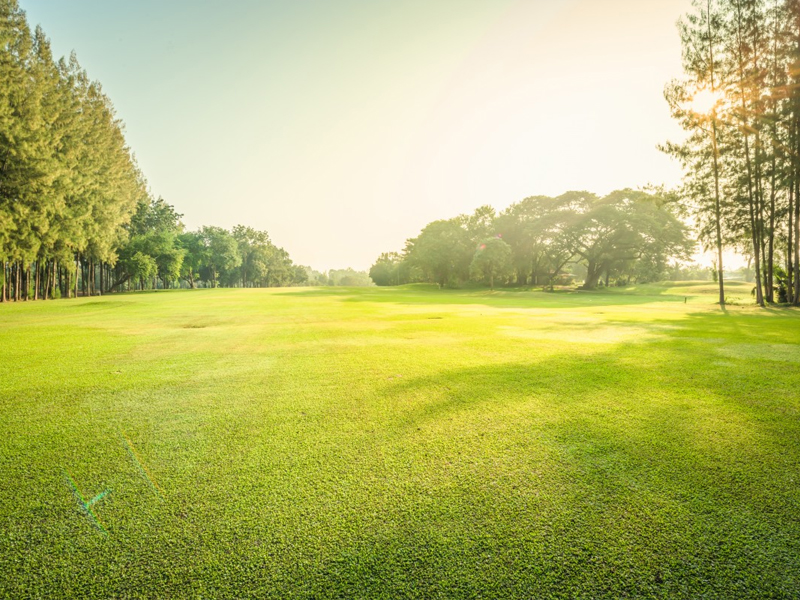 3/9 là ngày gì? Mệnh gì? Cung hoàng đạo gì? Có sự kiện nổi bật nào?