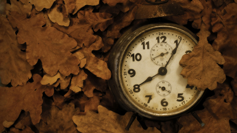 7/8 là ngày gì? Thuộc cung hoàng đạo gì? Có sự kiện nổi bật nào?