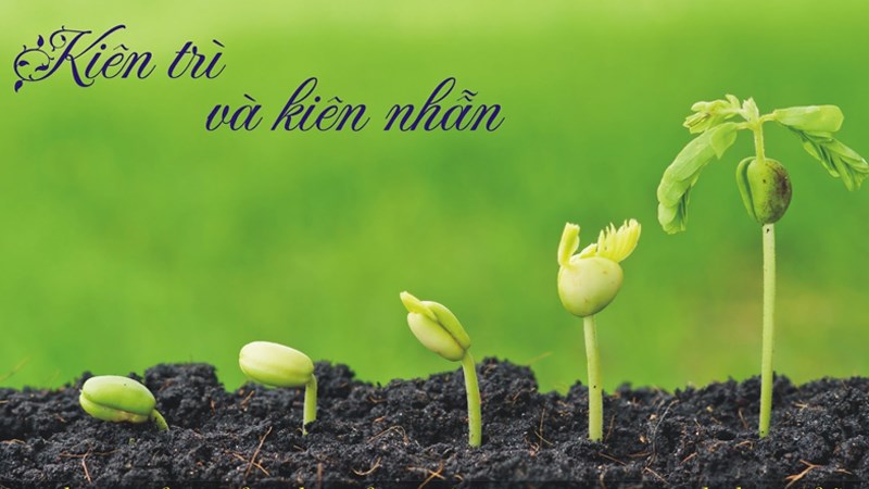 Deal là gì? Nghĩa của deal thường gặp trong kinh doanh và cuộc sống