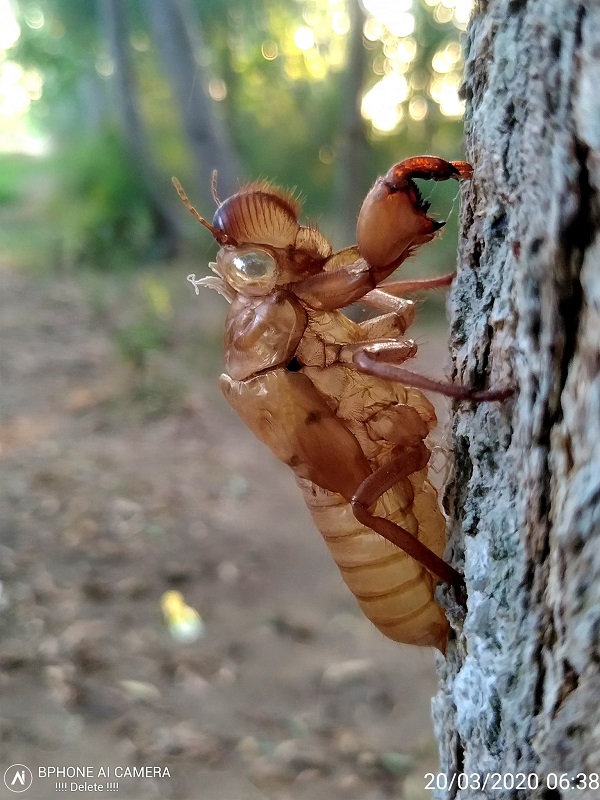 Bphone 4 không chỉ là Bphone 4, bước đi mới quyết liệt của Bkav 'được ăn cả, ngã về không'