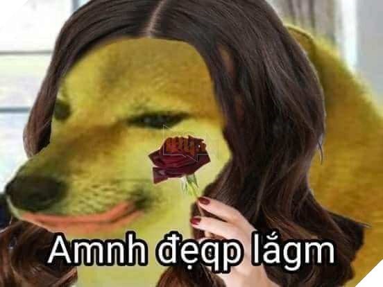 Meme Cheems là gì và nguồn gốc, ý nghĩa, các meme hài hước?