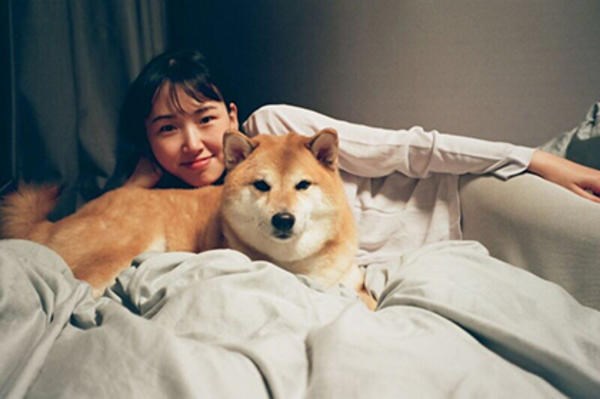 Meme Cheems là gì và nguồn gốc, ý nghĩa, các meme hài hước?