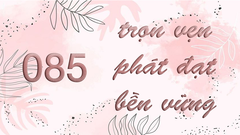 Đầu số 085 là mạng gì? Ý nghĩa của đầu số 085? Có phải số đẹp giá rẻ?