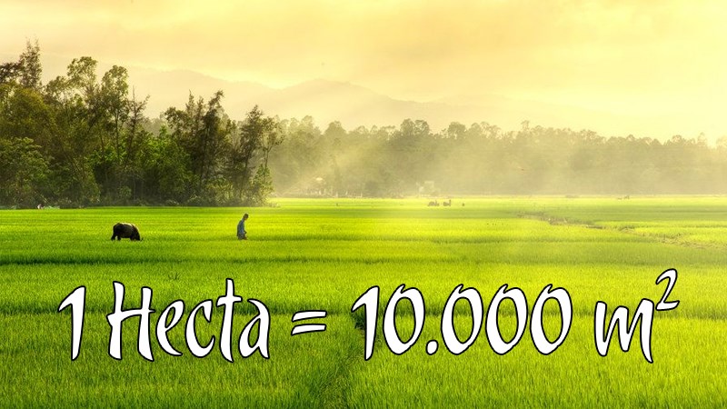 Hecta là gì? 1 hecta bằng bao nhiêu m2, km2, cm2, sào?