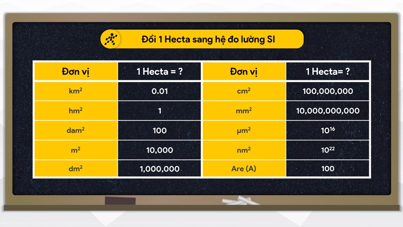 Hecta là gì? 1 hecta bằng bao nhiêu m2, km2, cm2, sào?