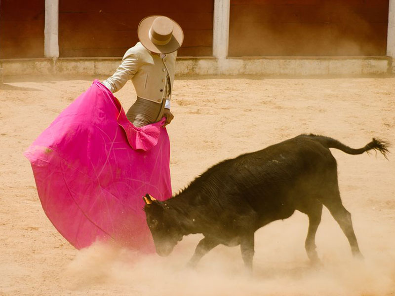 Lễ hội Las Fallas, Tây Ban Nha là ngày mấy? Nguồn gốc, ý nghĩa?