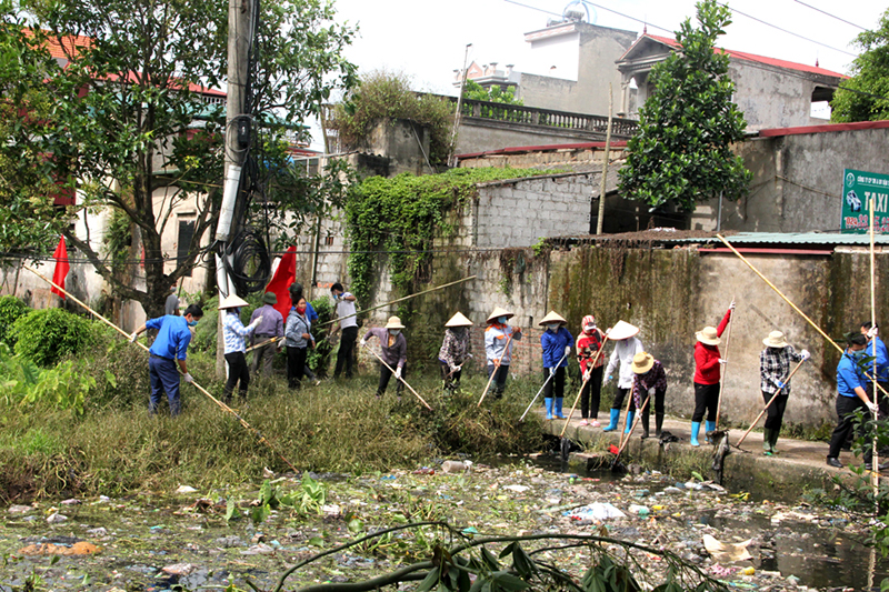 Ngày Môi trường Thế giới là ngày nào? Ý nghĩa? Chủ đề qua từng năm