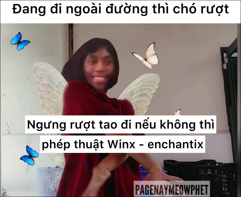 Winx Enchantix là gì? Phép thuật Winx Enchantix trên Facebook?