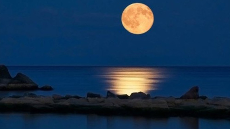 Rằm tháng 7 là ngày gì? Nguồn gốc từ đâu? Nên làm gì trong ngày này?