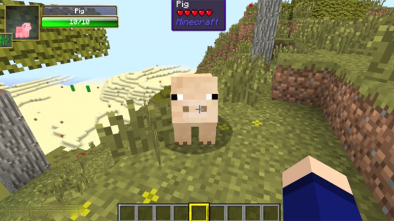 Tổng hợp mod Minecraft hay nhất định phải cài khi chơi game