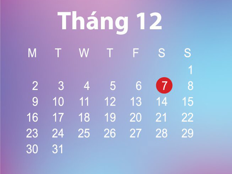 Tháng 12 là cung gì? Tính cách, sự nghiệp, tình yêu của cung tháng 12