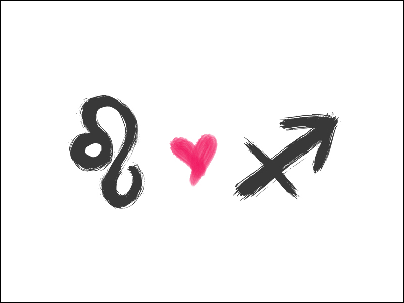 Tháng 12 là cung gì? Tính cách, sự nghiệp, tình yêu của cung tháng 12