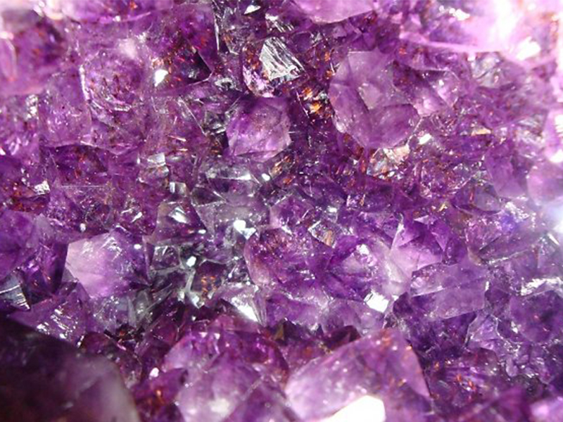 Tháng 3 là cung gì? Tính cách, sự nghiệp, tình yêu của cung tháng 3