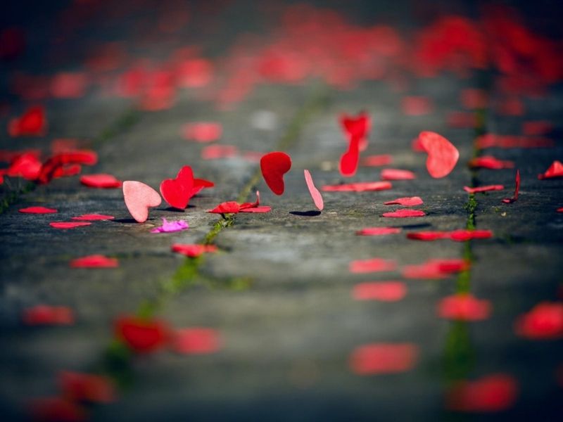 Tháng 7 là cung gì? Tính cách, sự nghiệp, tình yêu của cung tháng 7