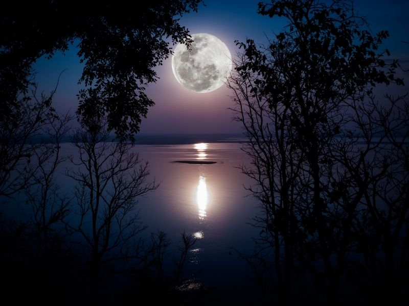 Tháng 7 là cung gì? Tính cách, sự nghiệp, tình yêu của cung tháng 7