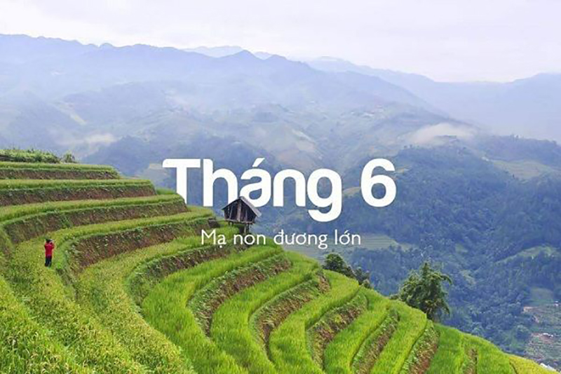 Tổng hợp ngày đẹp, ngày tốt trong tháng 6 năm 2021 Dương lịch, Âm lịch