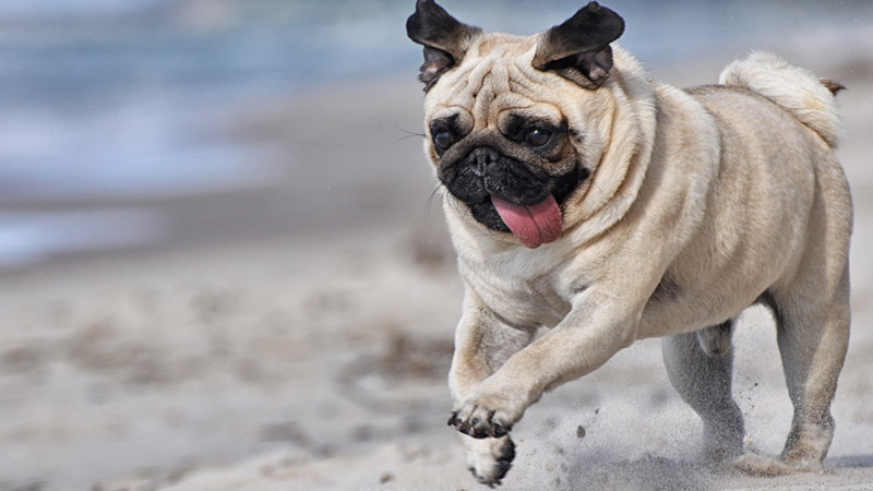 Top 25 themes đẹp, miễn phí cho Windows 10 kèm hướng dẫn chi tiết