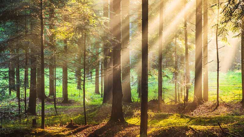 Top 25 themes đẹp, miễn phí cho Windows 10 kèm hướng dẫn chi tiết